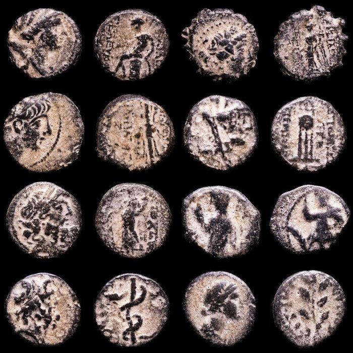 Seleucidriket, 312-63 f.Kr. Lot comprising eight (8) bronze coins Middle East, and at the height of its power included central Anatolia, the Levant, Mesopotamia,