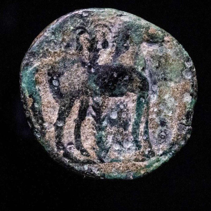 Hispania, Cartagonova. Mobile mint travelling with troops in the II Punir War (between 218-210 B.C.)