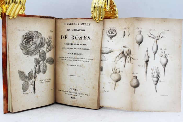 M. Boitard - Manuel Complet De L'Amateur De Roses, Leur Monographie, Leur Histoire Et Leur Culture - 1836