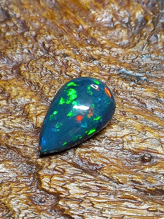 Etiopian musta opaali cabochon. 3,0 karaattia. Ei pohjahintaa! Päärynän muotoinen cabochon - Korkeus: 13.7 mm - Leveys: 8.9 mm- 0.6 g