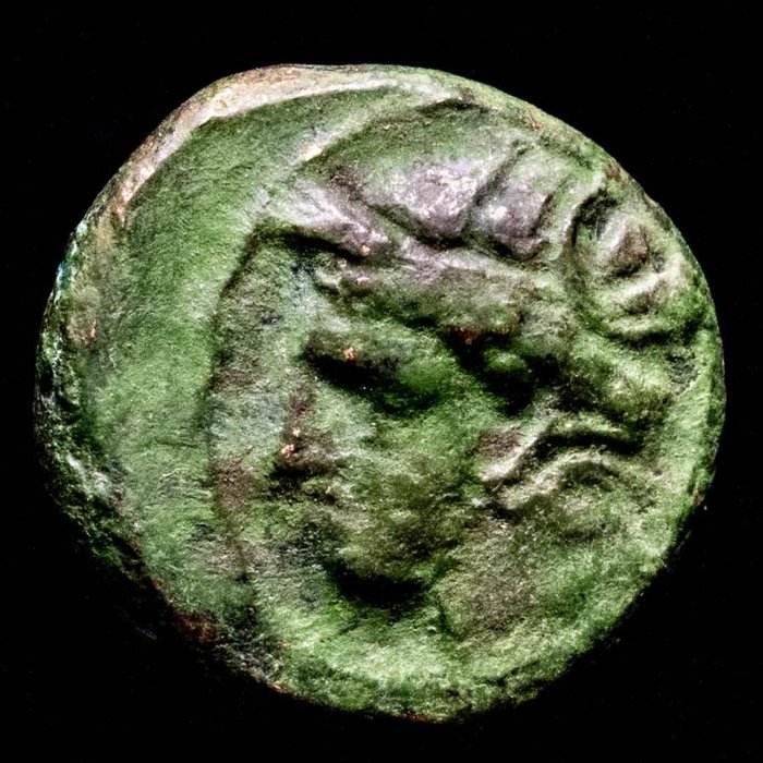 Zeugitana, Carthage. tanit. The Carthaginians in North Africa. AE half unit 300-264 B.C Head of Tanit left.  Horse.