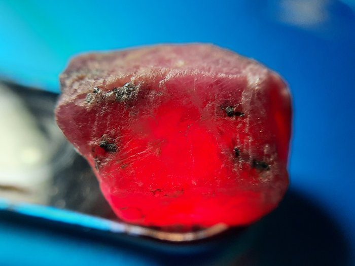 15.5 克拉 - 未經處理的天然紅寶石 - 粗糙- 3.1 g