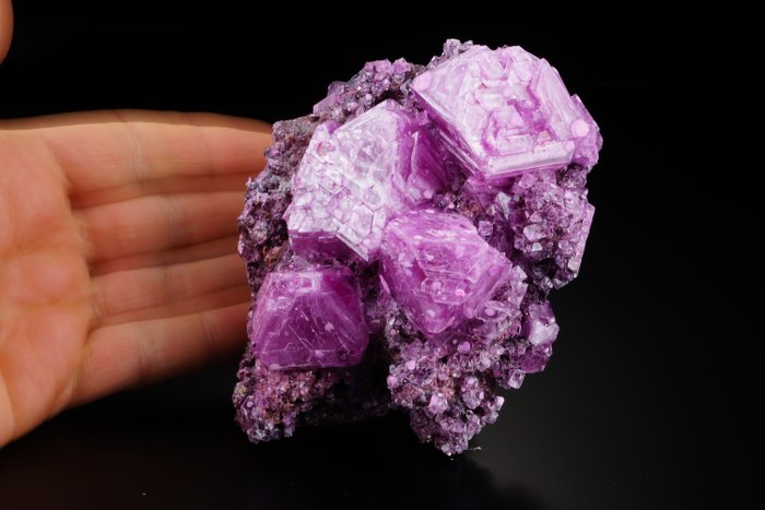 ALUNITE 紫色大簇 - 造型优美的额外形状——灵性感 - 高度: 122 mm - 宽度: 97 mm- 241 g