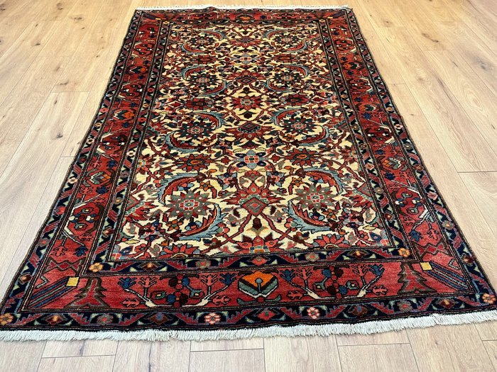 Bakhtiar Novo (limpo) - Carpete - 225 cm - 135 cm