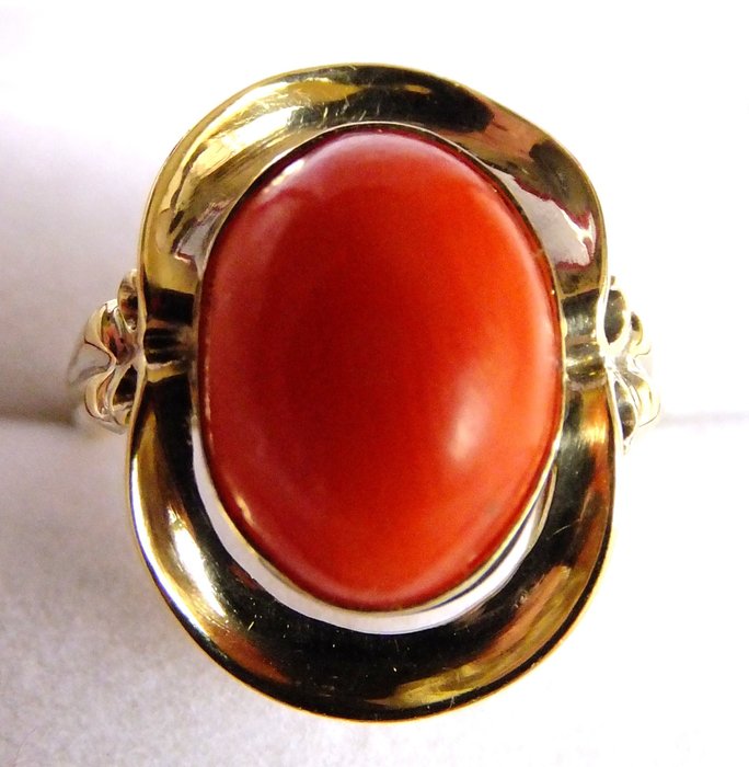 14 kt. Yellow gold - Ring Blood Coral
