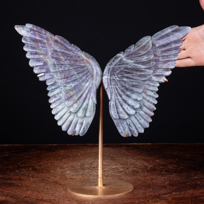 高品質雕刻 - 拉長石 - 蝴蝶翅膀 - 高度: 296 mm - 闊度: 324 mm- 1670 g
