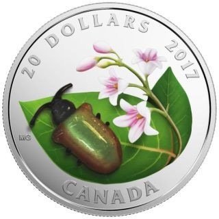 加拿大. 20 Dollars 2017 Murano Glas Käfer, 1 Oz (.999)