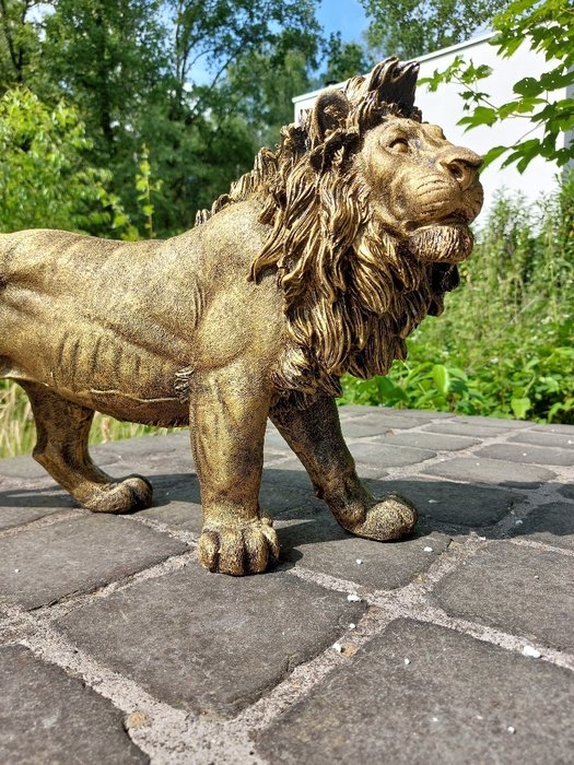 雕像, Beeld, 60 cm long statue of gold bronze lion - 32 cm - 聚樹脂