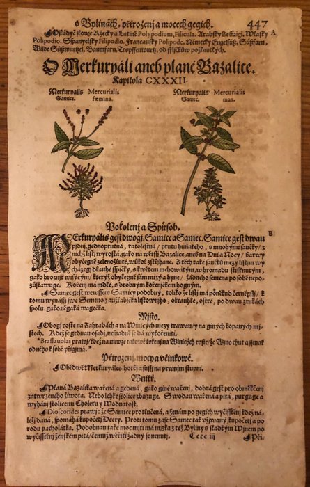 Mattioli Andrea - Mattioli Herbarium Bohemian Version - 1556-1556