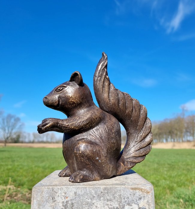 Statuetta - A lifelike bronze squirrel - Bronzo