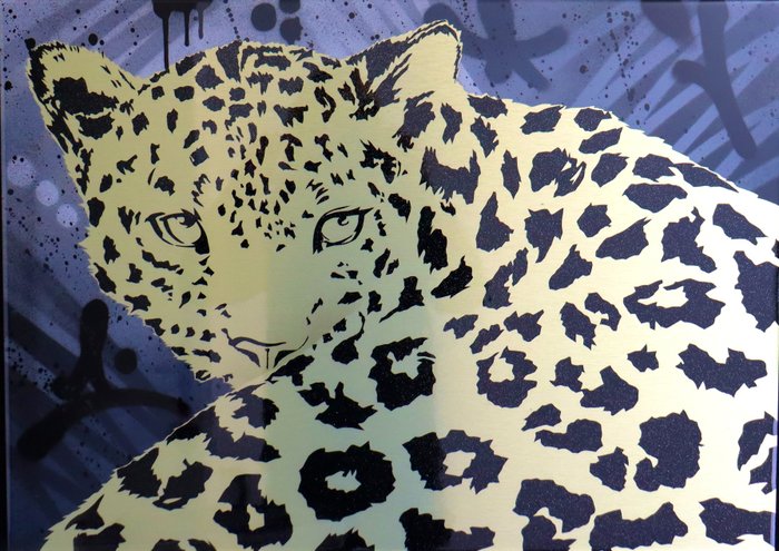 Socrate - Amur Leopard