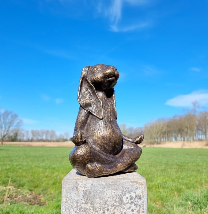 Estatueta - A meditating zen hare - Bronze