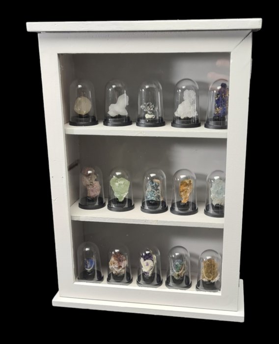 Mixed Crystals starter collection - domed and in display cabinet  - 西洋鏡 - 世界