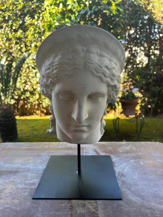 Veistos, Testa di Era Ludovisi - 35 cm - marmoripölyä