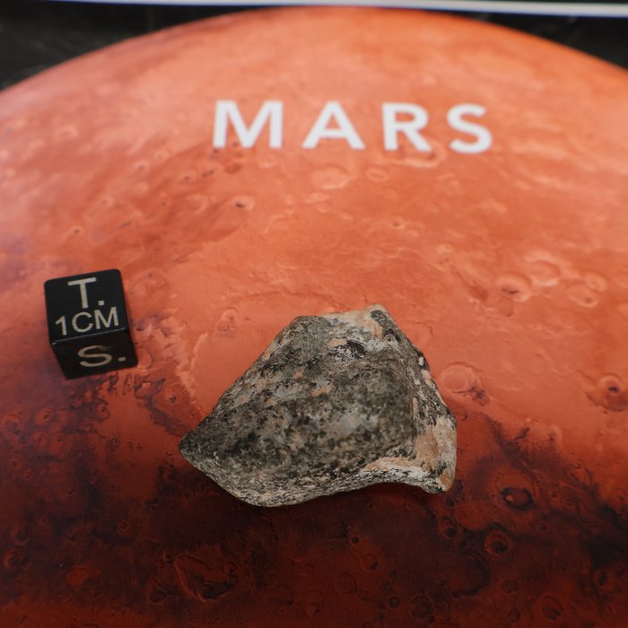Meteorit vom Mars, NWA 13257 SHERGOTTIT Endschnitt mit polierter Oberfläche - 20.3 g