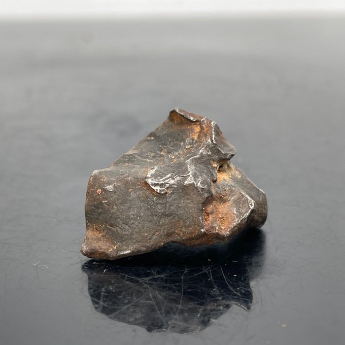 格貝爾·卡米爾 金屬隕石，未成團的紫杉石 - 24 g