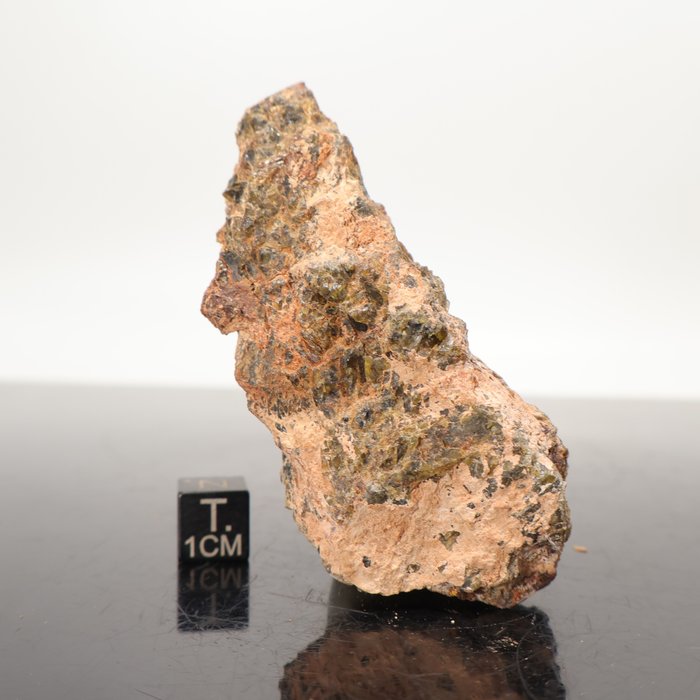 Diogenit NWA 7831 Meteorit von ausgezeichneter Qualität von VESTA Asteroid - 77 g