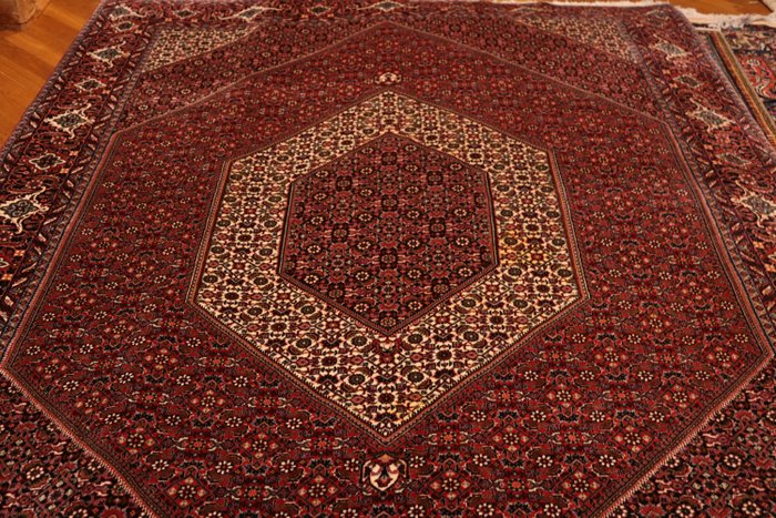 非常精緻的 Bidjar 波斯地毯 - 地毯 - 3 cm - 2.01 cm