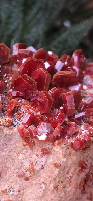 Vanadinit Kristalle auf Muttergestein - Höhe: 10 cm - Breite: 7.5 cm- 470 g - (1)