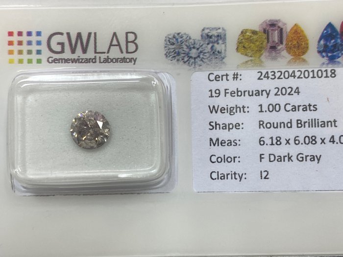 1 pcs 钻石 - 1.00 ct - 圆形 - Fancy dark gray - I2 内含二级, NO RESERVE PRICE