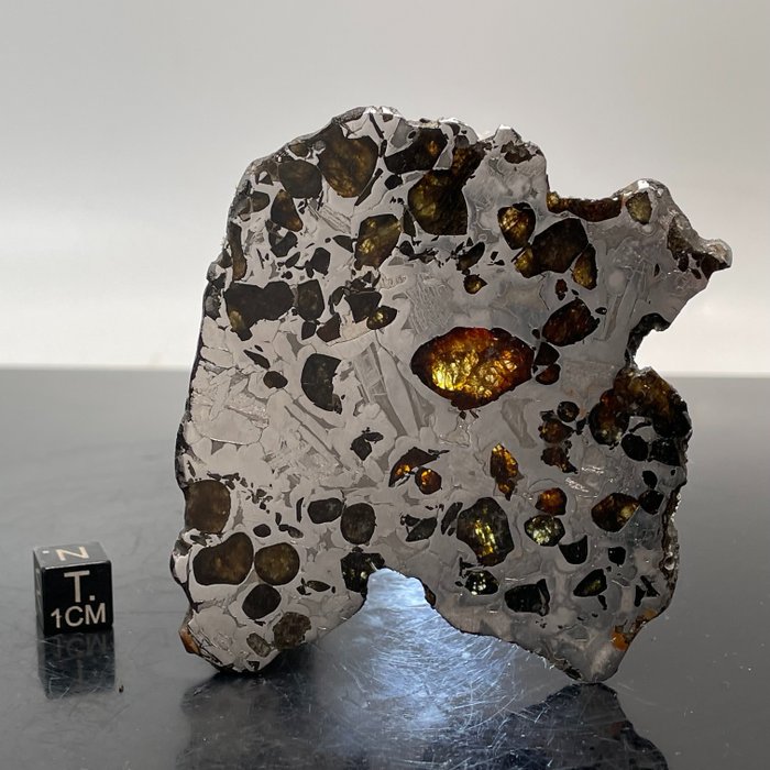 SEYMCHAN 陨石抛光和蚀刻，魏德曼斯塔滕线 高质量 - 44.5 g