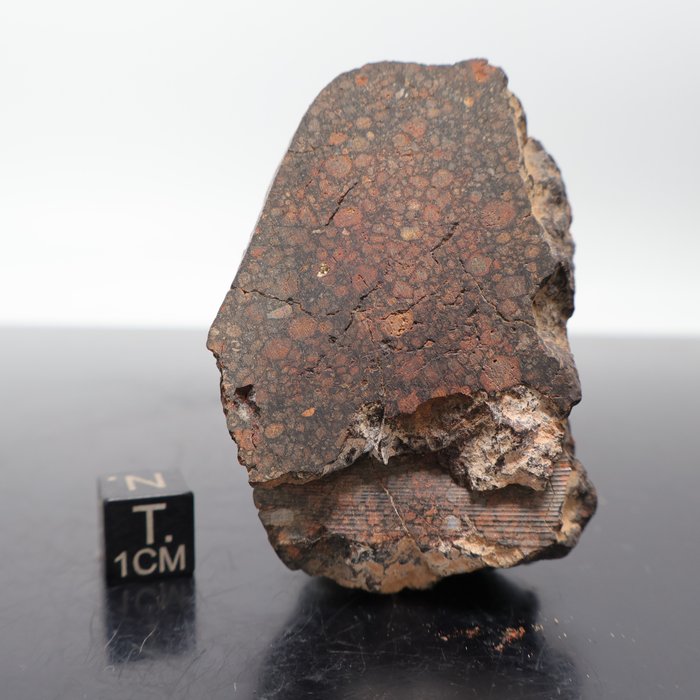 GRILLE!! Feuille de chondrite carbonée CV3, NWA 13569 avec CAI (substance la plus ancienne du système solaire) Seulement 25 grammes classés - 85.6 g