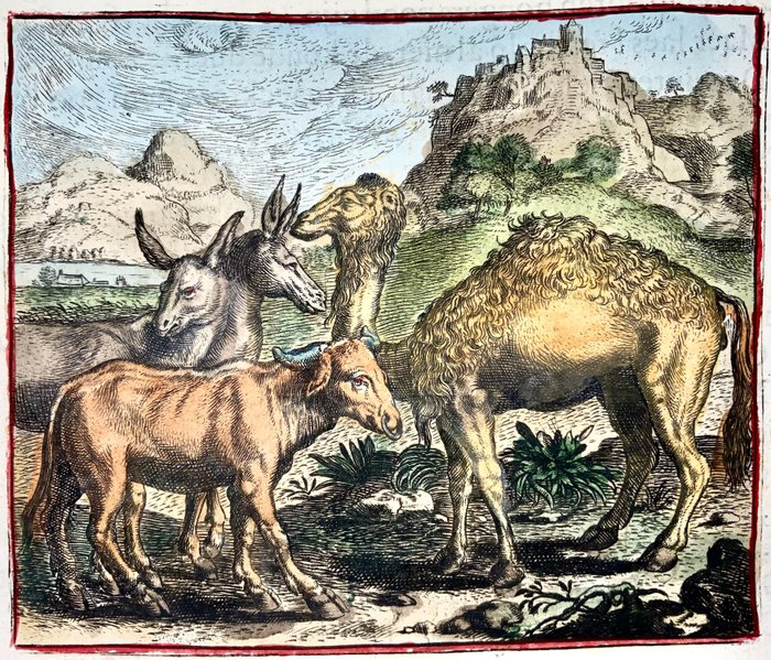 Marcus Geerhaerts (1561/62-1635) - The Camel, Buffalo, Mule & Donkey - Fable
