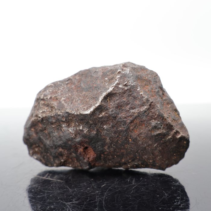 Campo del Cielo, Nucleus of an Asteroid ***SPECIAL, DO NOT RESERVE PRICE*** Metallic Meteorite - 238 g