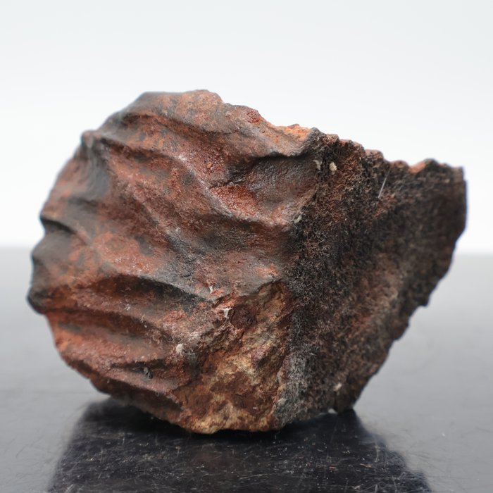 具有深槽纹的精美陨石 NWA 球粒陨石与熔壳 - 235 g