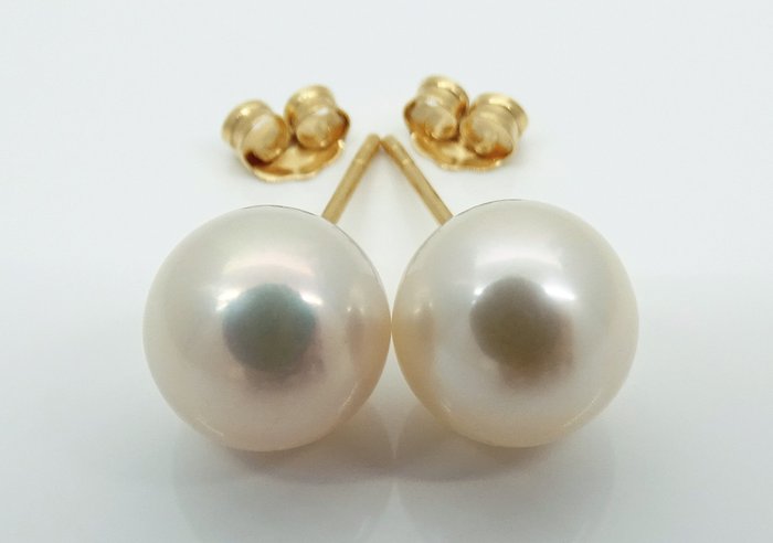 No Reserve Price - Akoya Pearls, Round 8,5 -9 mm Earrings - Yellow gold 