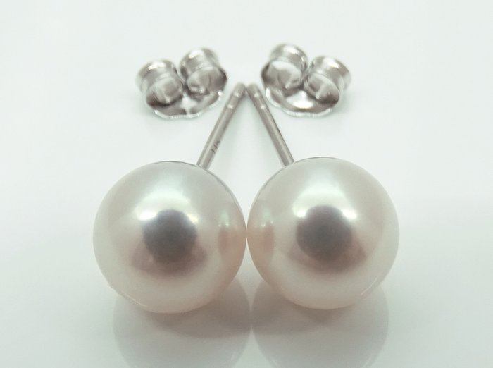 沒有保留價 - Akoya Pearls, Round, 7.5 -8 mm 耳環 - 白金 