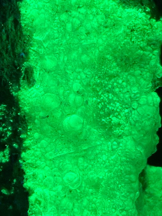 Hyalite fluorescent la lumina zilei botryoidal extrem de strălucitor. Fluorescent - Înălțime: 7 cm - Lățime: 3 cm- 50 g