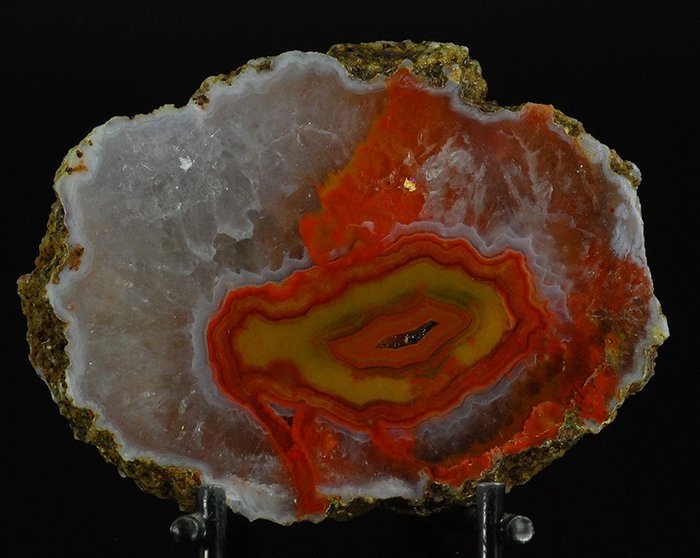 Multicolored agate Semi-polished - Height: 19 mm - Width: 61 mm- 77 g