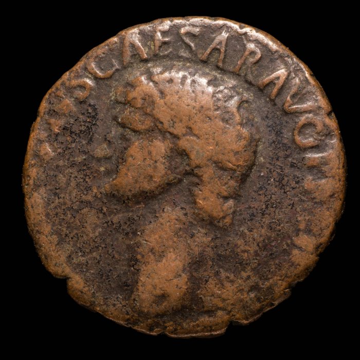 Impreiu Roman. Claudius (AD 41-54). As Uncertain western branch mint, ca. AD 41-50 - Minerva  (Fără preț de rezervă)