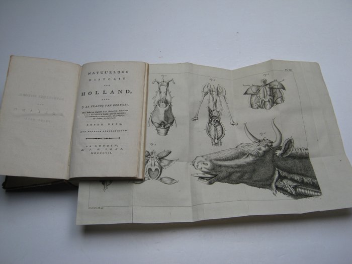 Joannes Le Francq van Berkhey - Natuurlijke historie van Holland. Zesde deel: Rundvee - 1807