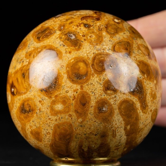 Esfera En Coral Fósil Agatizado - Matriz fósil - 77.5 mm