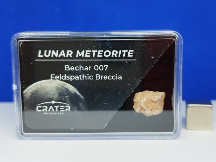 正宗的月球隕石。 新的！！ BECHAR 007（阿爾及利亞，2022 年）。 - 0.47 g