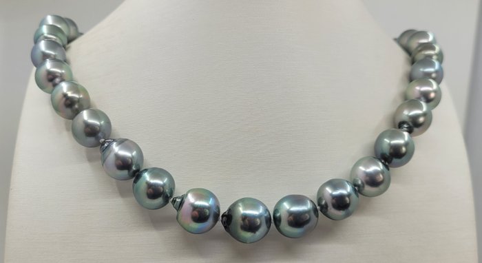 Halskette - 11x13mm Regenbogen-Pfau-Tahiti-Perlen 