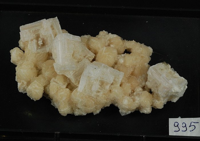 天然鹼和石鹽 矩陣晶體 - 高度: 27 mm - 闊度: 105 mm- 115 g