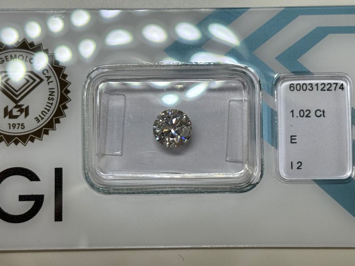 1 pcs Diamante - 1.02 ct - Brillante - E - I2