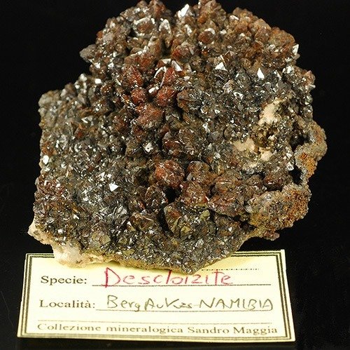 钒铅锌矿 水晶矩晶体 - 高度: 20 mm - 宽度: 62 mm- 230 g - (1)