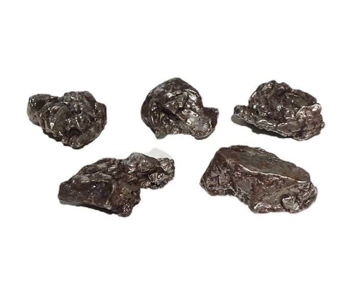 Campo del Cielo meteorite 自然的 - 122.5 g - (5)