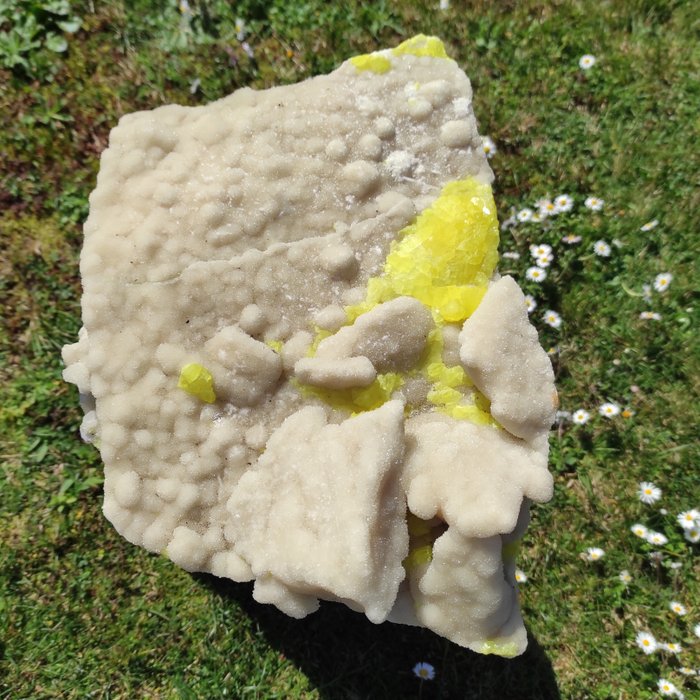 Sulfur Cristale pe matrice - Înălțime: 10 cm - Lățime: 39 cm- 7600 g - (1)