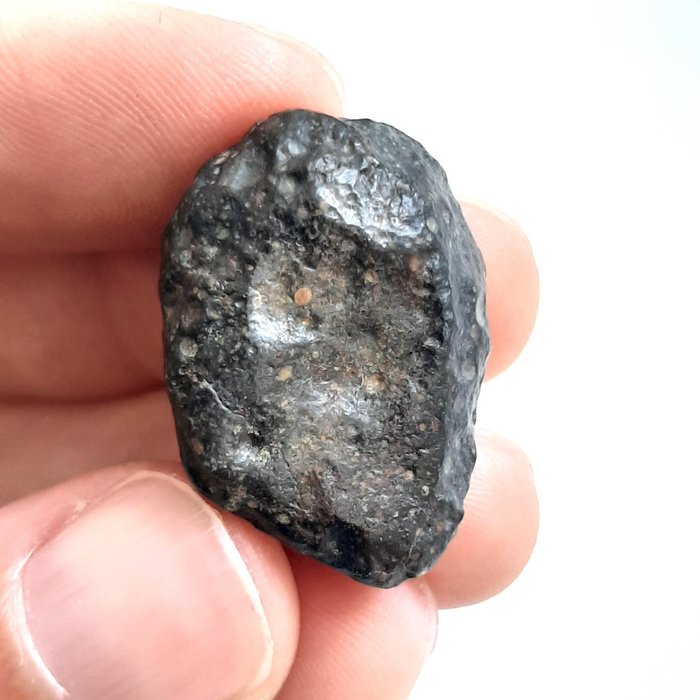 西北地區 13518。 R球粒隕石。稀有類型。可見的球粒 - 11 g