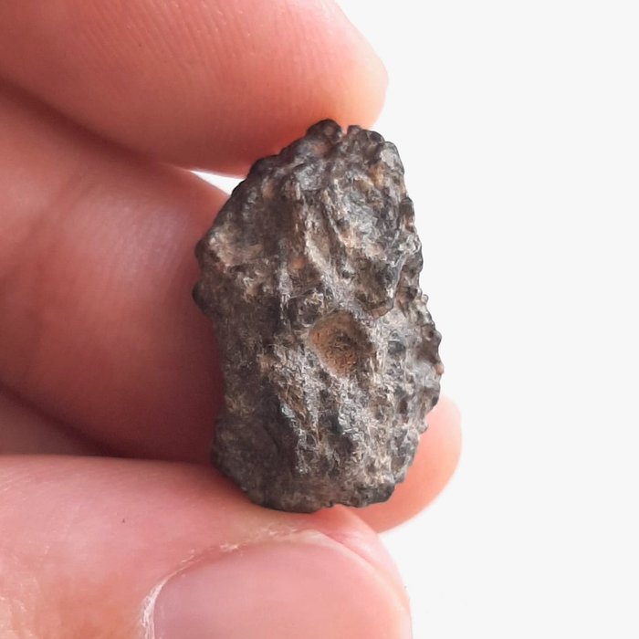 Lunar meteorite. Bechar 006. Rock from the Moon. Individual - 3.55 g