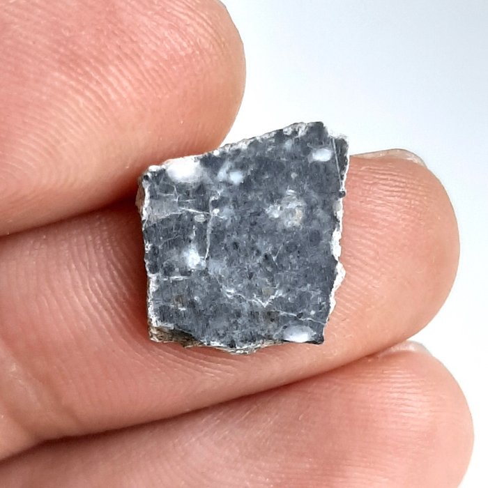 月球隕石。比查006。 來自月球的岩石。切片放入收藏盒中 - 0.55 g