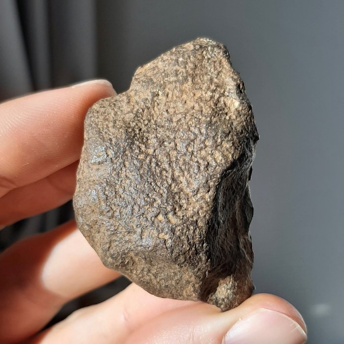 Gebel Kamil. Meteoritt med krater. Øglehudtekstur - 110.6 g