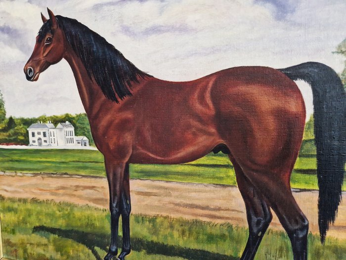 Henri Busy (pseud. Henri Marinus Buys) 1937-2007) - Arabisch volbloed paard in landschap