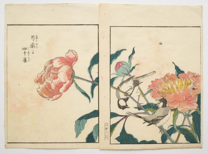 Tweeluik uit "Kachō shashin zui" 花鳥寫真圖彙 (Pictures of Flowers & Birds Drawn from Life), vol. 5 - Kitao Shigemasa 北尾重政 (1739–1820) - Japan -  Sena Edoperioden