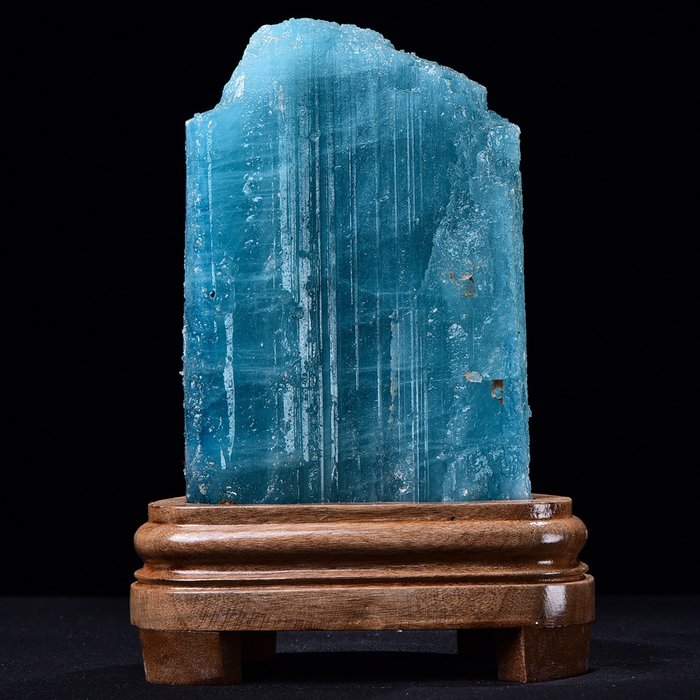 无保留价 - 罕见的巨大海蓝宝石 - 杰作 手工制作的木底座- 2813 g